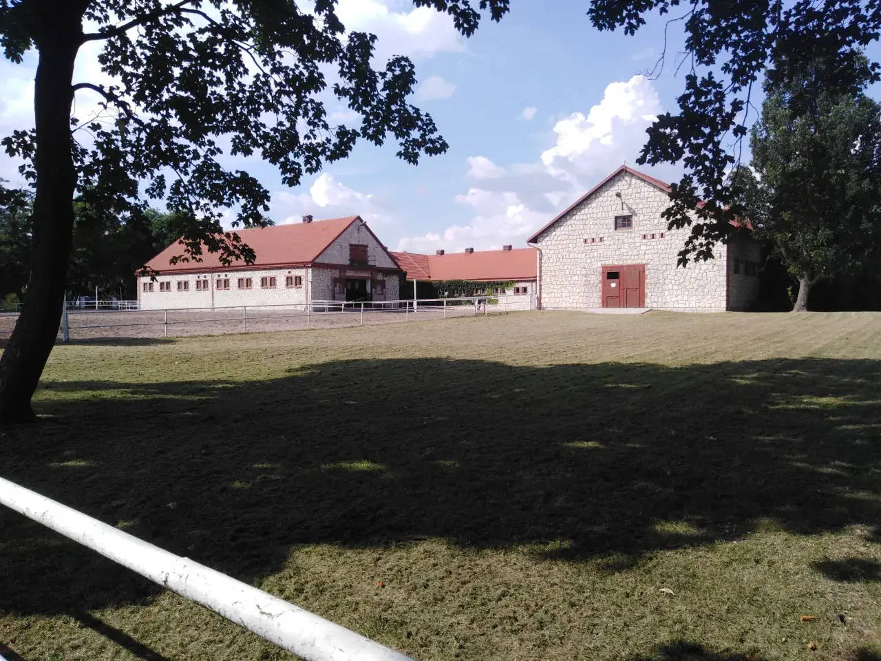 Arābu zirgi Polijā