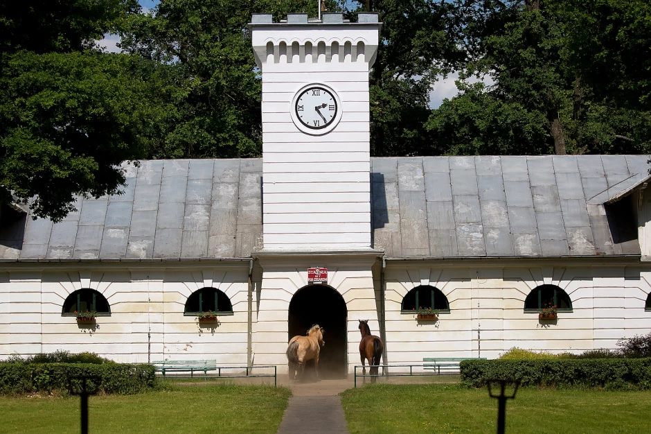 Arābu zirgu audzētavas Polijā