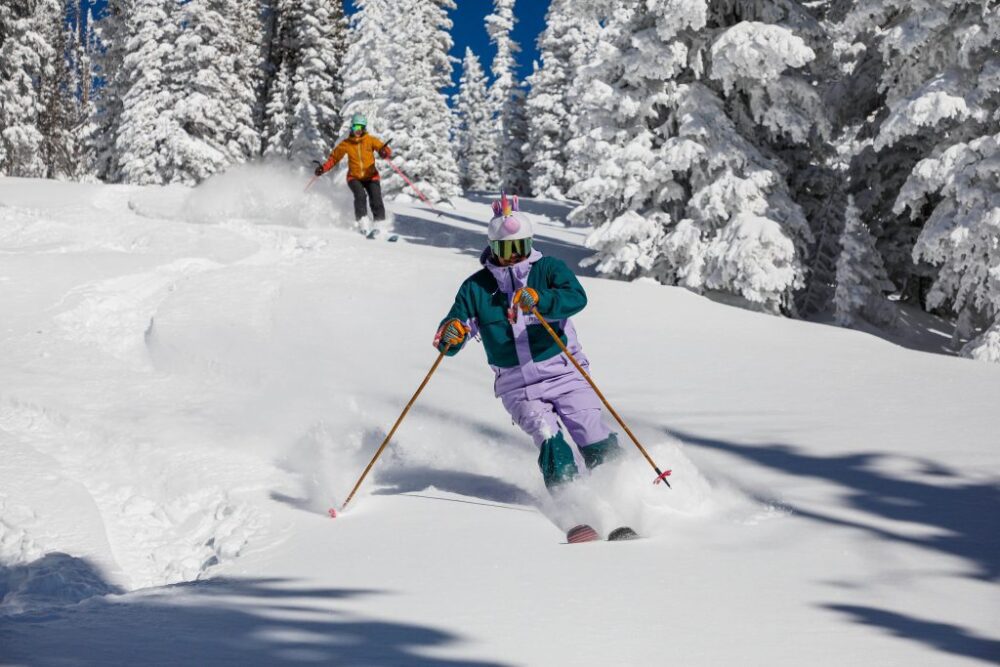 Cik maksā premium slēpes