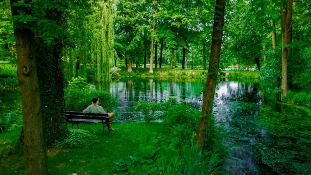 Manor House Park viesnīca