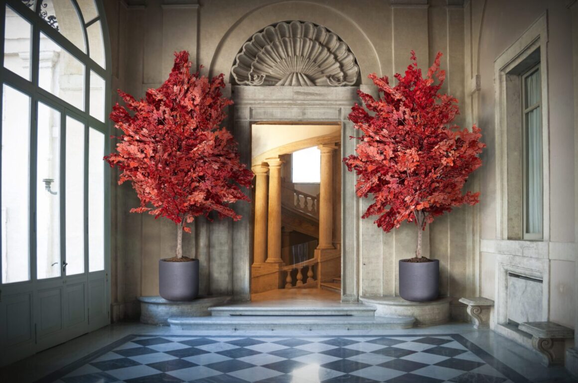 Kas ir augu stabilizēšana