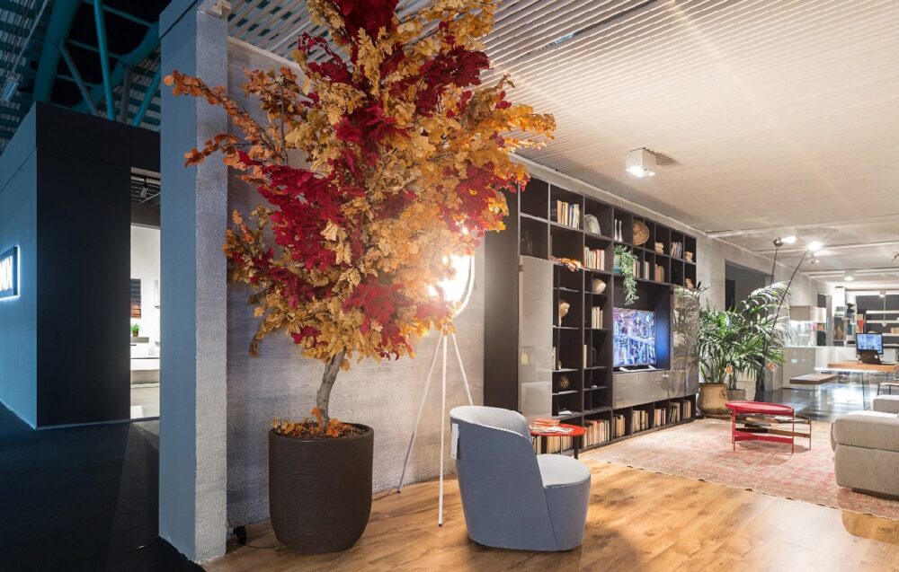 Kā stabilizēt augus Blogs