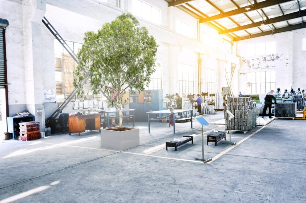 Kā stabilizēt augus