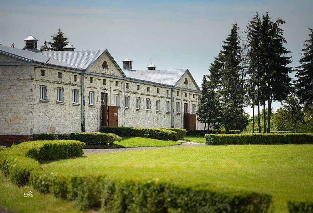 Bialka Zirgu Audzētava