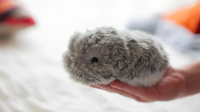 Vai Moflin ir robots