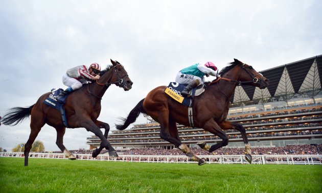 Frankel uzvar Cirrus Des Aigles 20 10 12 Foto Bill Selwyn