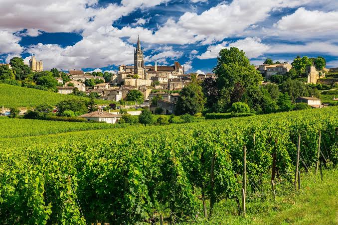 Bordeaux reģiona vīndaris