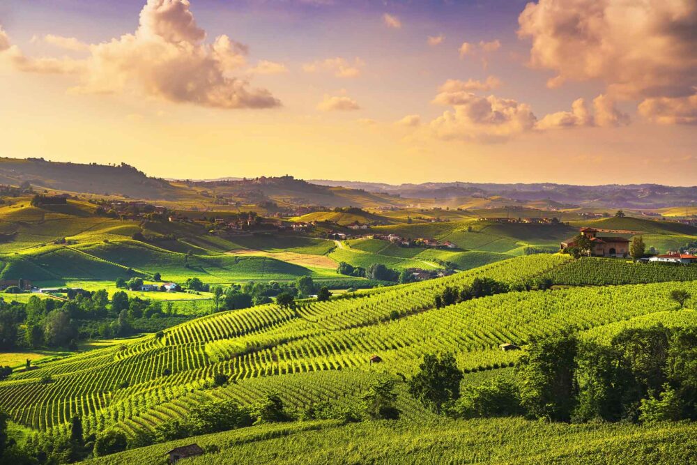 Langhes vīna dārzu saulrieta panorāma, Barolo, Pjemonta, Itālija, Eiropa
